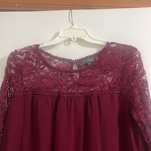 Luxology Women lace and Sheer Burgundy Lined Three Quarter Sleeves Dress size 14 - Picture 4 of 14